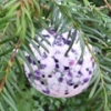 Festive bauble supports hospice care